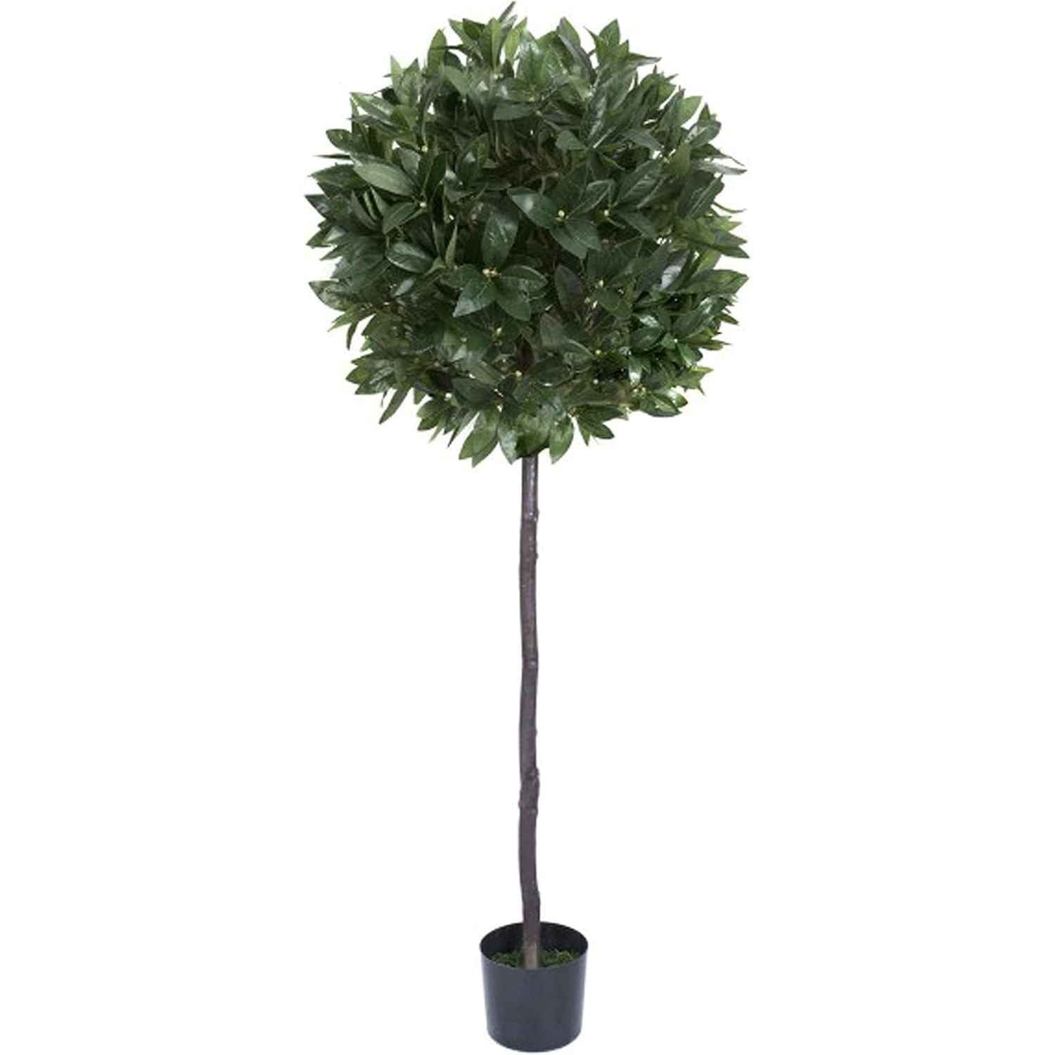 Artificial Bay Tree 5ft 150cm Premium Quality Decorative Plant GreenBrokers