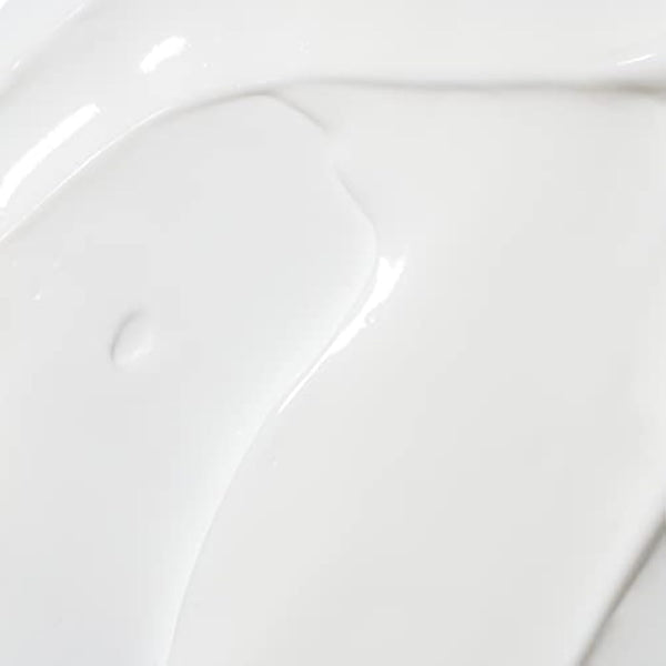 Nordic Hydra [LAHDE] by Lumene Intense Hydration Moisturizer 50ml