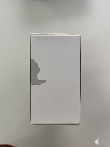 NEWYES Scan Reader Pen 4 Pro with 3.99inch Touchscreen,Text to Speech Reading Pen, Smart recording Learning Pen for Students