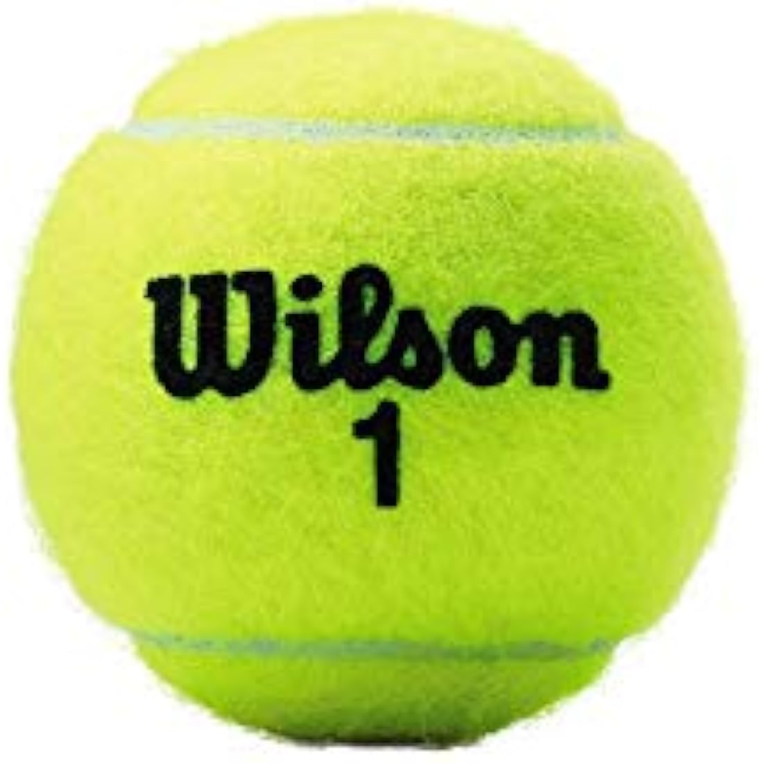 Wilson Championship Regular and Extra Duty Tennisbälle