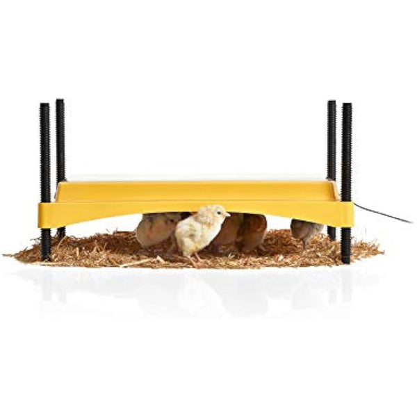 Brinsea EcoGlow Safety 1200 Chick Brooder - Chick Brooder Heat Plate for Chicks - Heat Lamp Replacement - Made in Great Britain - 3 Year Guarantee