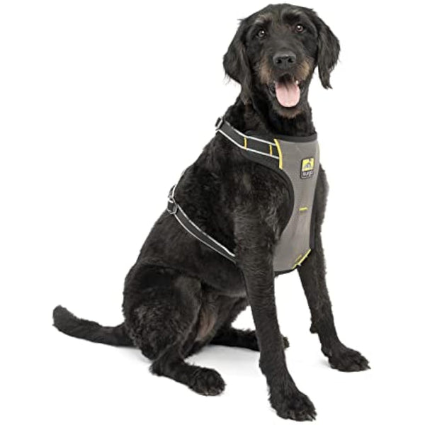 Kurgo Impact Dog Car Harness, Crash Tested, Integrates with Car Seatbelt System, Lightweight, Large-Black/Charcoal Grey