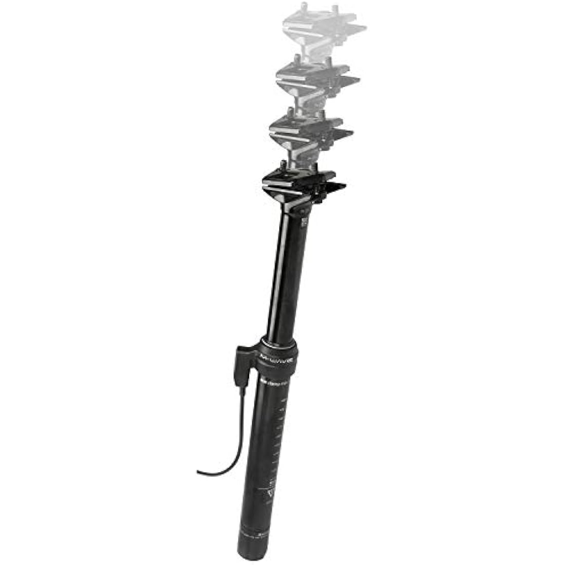 M-Wave Evan Williams