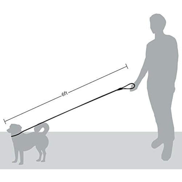 Friends Forever Extremely Durable Dog Rope Leash, Premium Quality Training Slip Lead, Reflective, Thick Heavy Duty, Sturdy, No Pull, Comfortable For The Strong Large Medium Small Pets 6 feet, Green