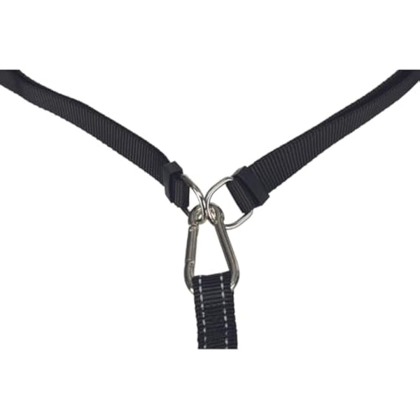Waist Belt with Lead for Medium-Sized and Large Dogs