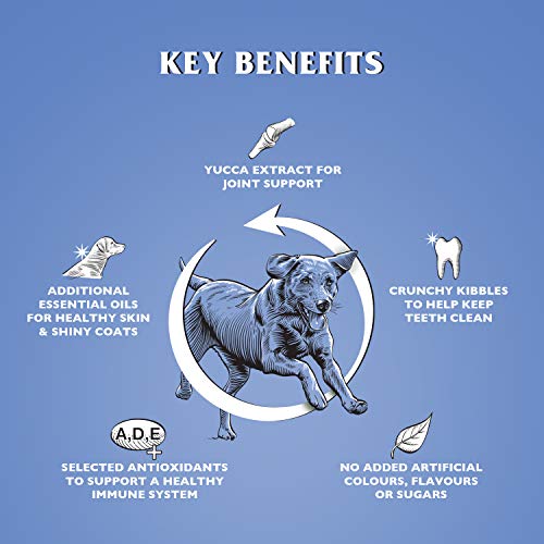 Dr John Silver Dry Dog Food 15kg - Chicken with Vegetables - Complete Dog Biscuits 15kg - Senior and Adult Dog Food for Light Activity, Maintenance and Resting Dogs