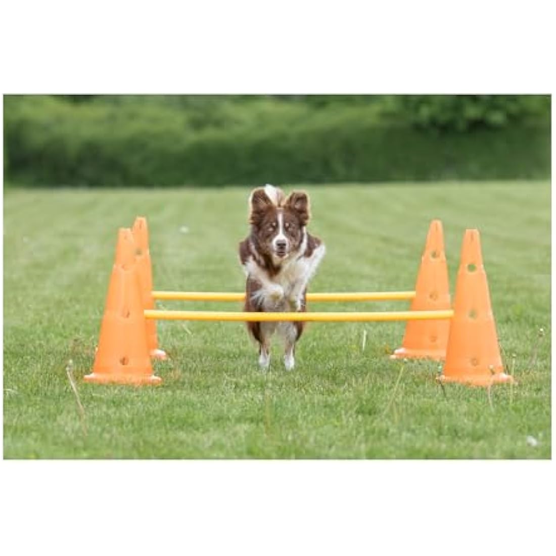 TRIXIE Pylon Obstacle Set – 6 pylons – 3 poles – variable height adjustment: 6 cm / 13.5 cm / 20 cm – orange/yellow – 32091