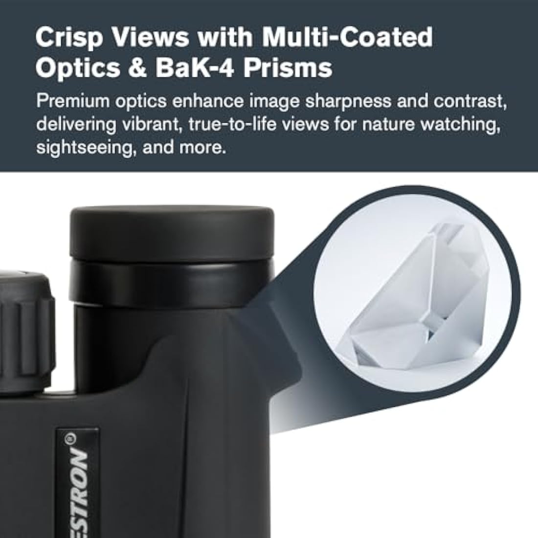 Celestron 71341 10 x 25 Outland X Binocular, Black