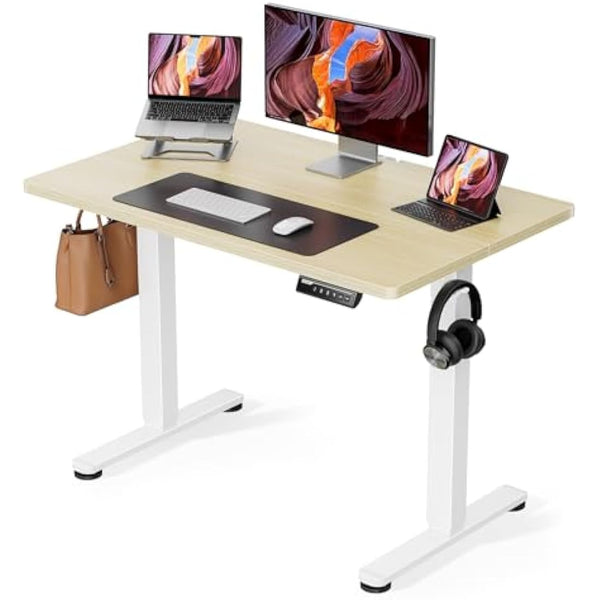 ErGear Electric Standing Desk Height Adjustable 100 x 60cm, Sit Stand Desk with 4 Memory Smart Pannel for Home Office with Splice Board