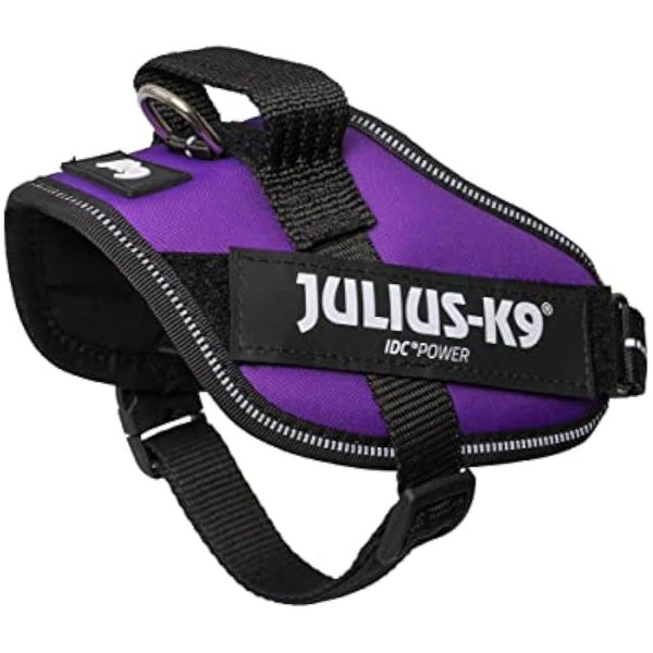 JULIUS-K9 IDC Powerharness, Size: XS/Mini-Mini, Dark Purple