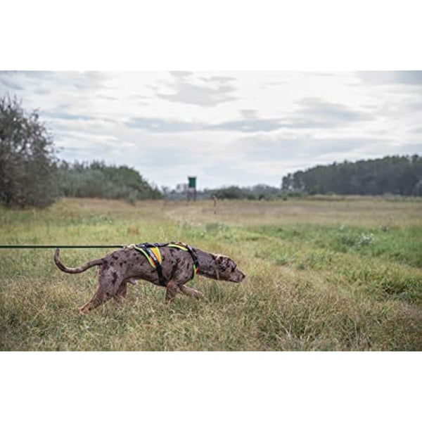 Julius-K9 Mantrailing Harness, Size: S, UV Orange with neon edge