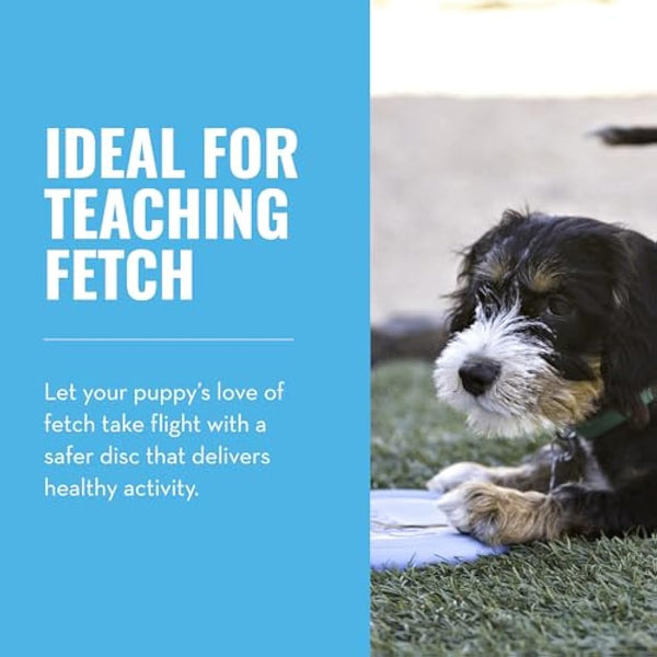 KONG - Puppy Flyer - Teething Rubber, Flying Disc Dog Toy - For Small Puppies (Assorted Colours)