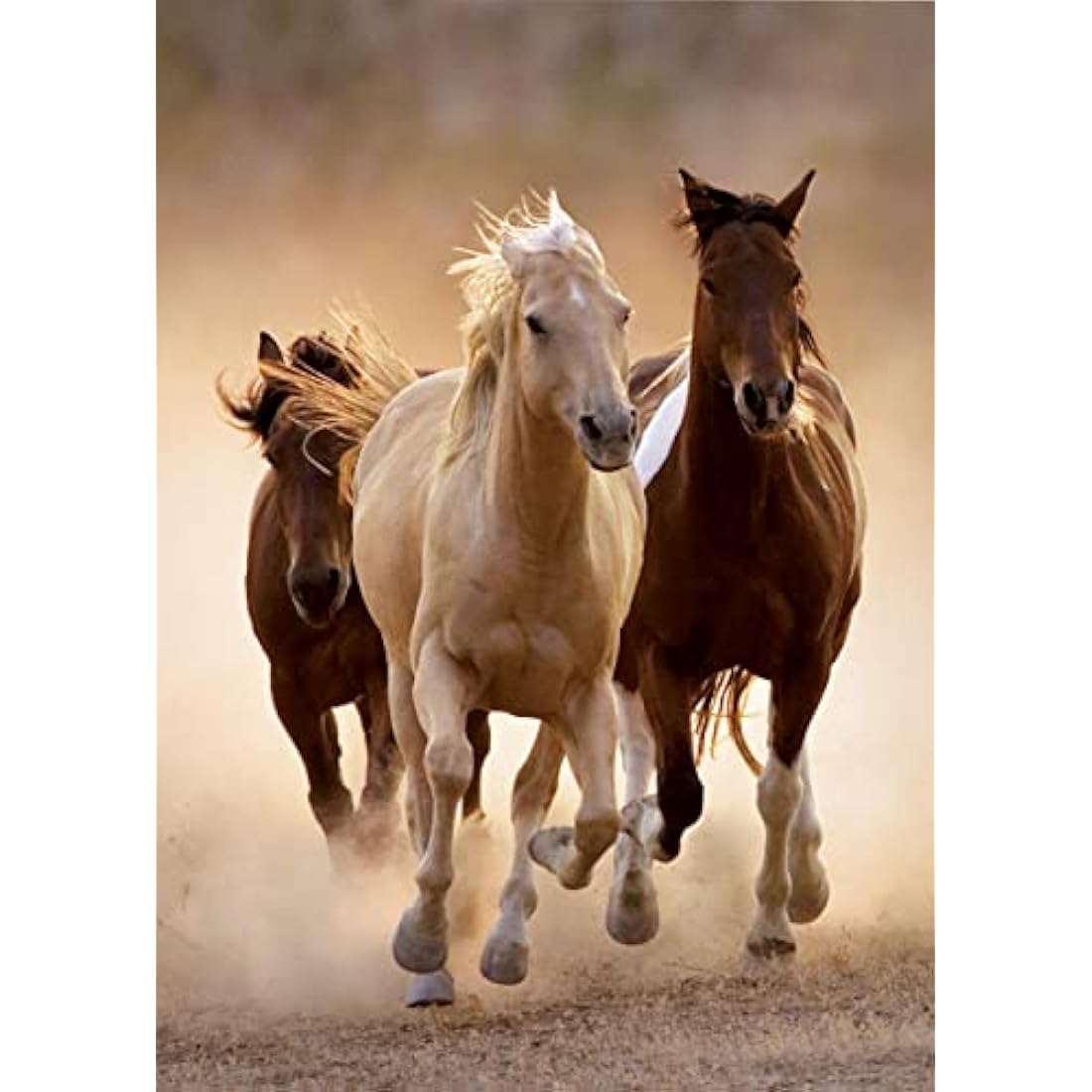 Clementoni - Running horses - 1000 Piece Puzzle