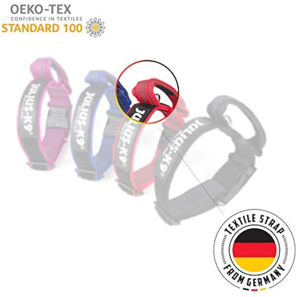 Julius-K9 Color and Gray Collar with Handle and Interchangeable Patch, 50 mm (49-70 cm), Neon-Gray