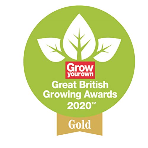 Spear & Jackson 4875RSS Razorsharp Steel Wooden Handle Shear