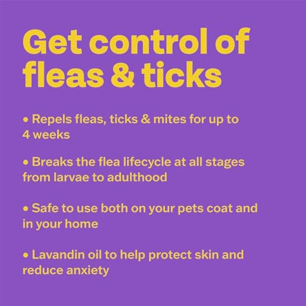 Bob Martin Clear Flea Repellent Spray for the Home and Cats - Controls Flea and Tick Infestations in the Household (300ml)