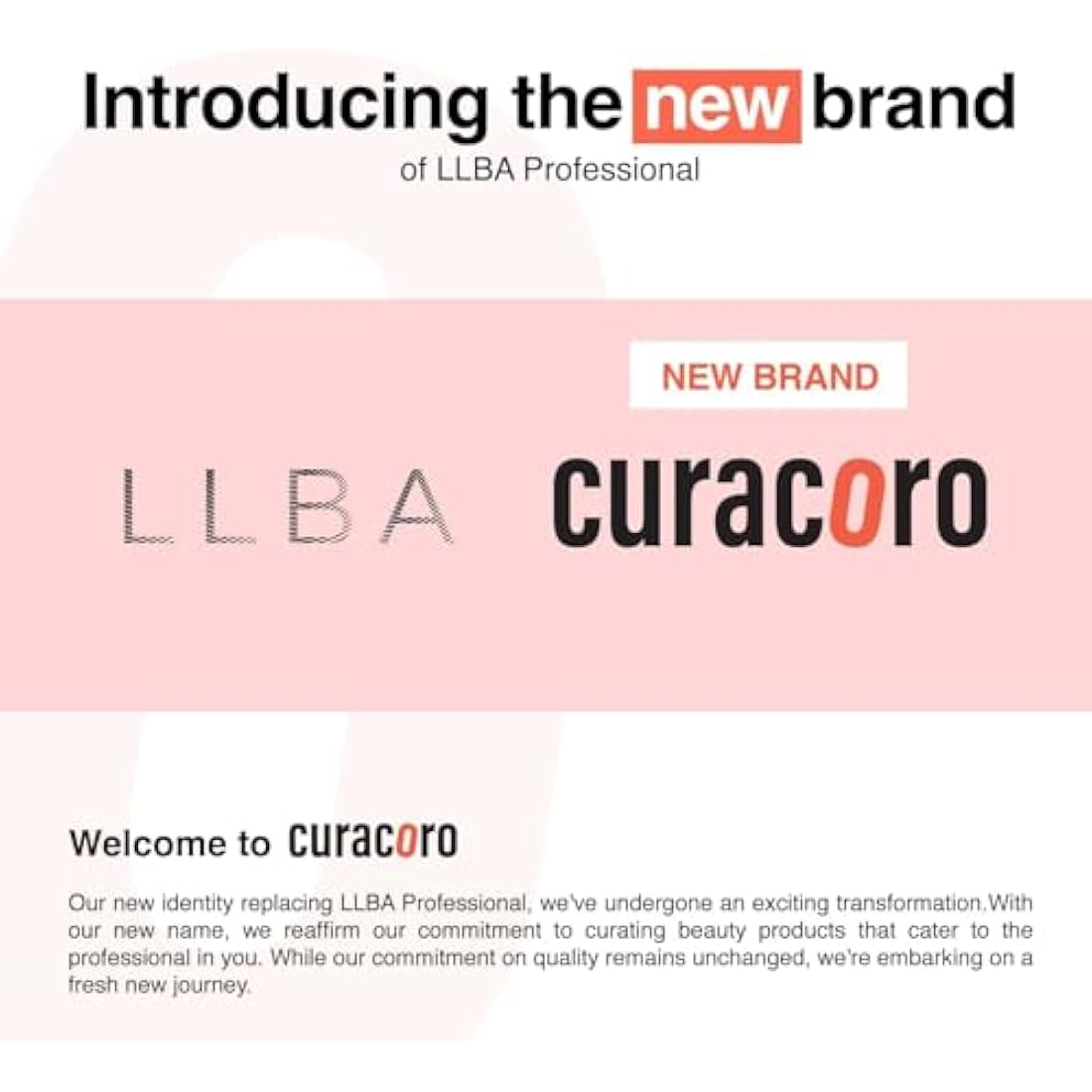 LLBA Promade Mix Fans | Handmade Volume Eyelashes | Multi Selections From 5D To 12D | C CC D Curl | Thickness 0.03~0.1 mm | 9-18mm Length | Long Lasting | Easy Application (8D-0.05 C, 9-10-11mm)