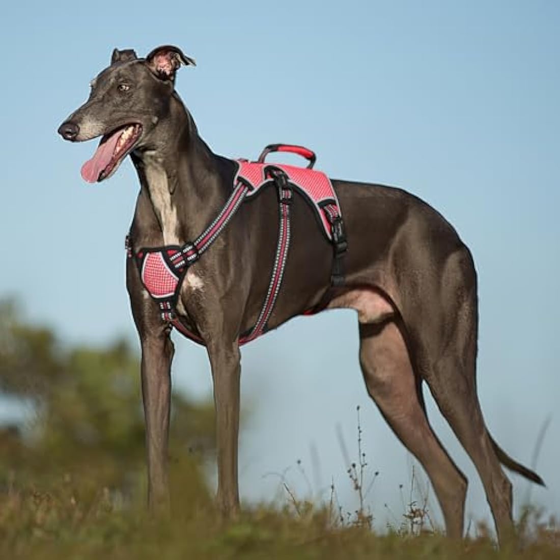 HEELE Dog Harness - Escape Proof, No Pull Reflective Adjustable Vest with Durable Handle, Ideal for Big/Active Dogs, Red, XL