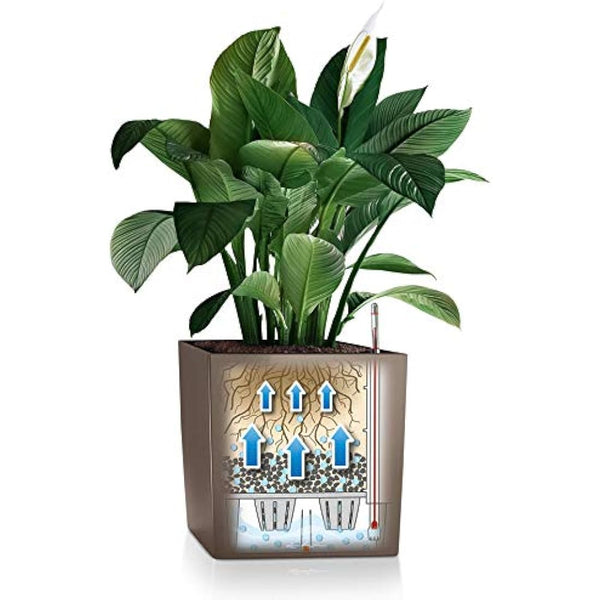 LECHUZA CUBE Premium 50 taupe high gloss 16565