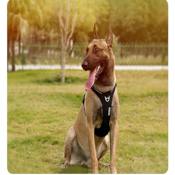 WINHYEPET True Love No-Pull Dog Harness,Adjustable Outdoor Vest Reflective Nylon Soft Pet Harness Dog Suitable Small Medium Large Breeds TLH5654(Black,XL)