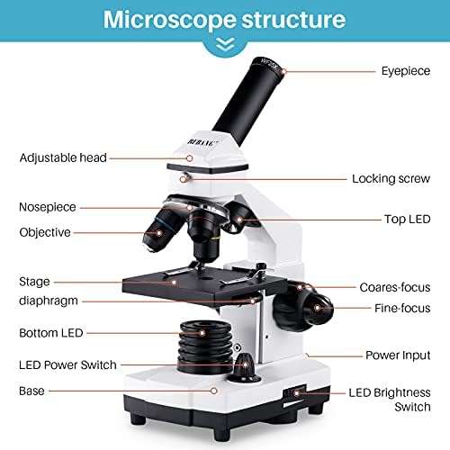 BEBANG 100X-2000X Microscope for Kids Adults, Professional Biological Microscope Kit for Students School Laboratory