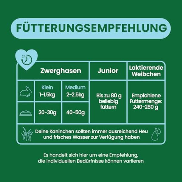 Burgess Excel Junior and Dwarf Nuggets with Mint Rabbit Food 10 kg