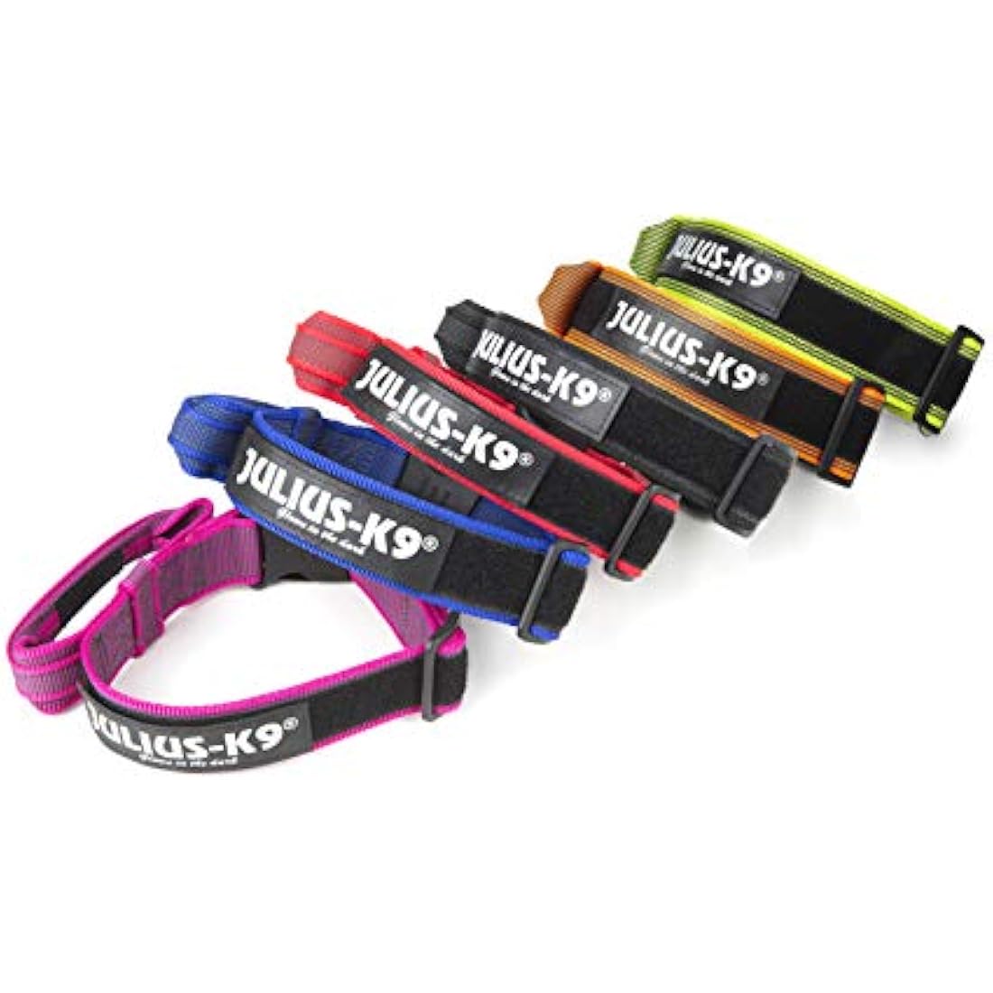 Julius-K9 Color and Gray Collar with Handle and Interchangeable Patch, 50 mm (49-70 cm), Neon-Gray