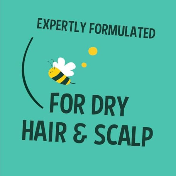 Faith In Nature Organic Coconut Shampoo, Hydrating for Dry Hair & Scalp, Vegan & Cruelty Free, No SLS, Silcones or Parabens, 5L Refill Pack