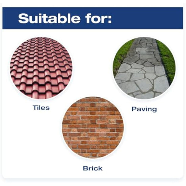 Wet & Forget Rapid Application, Ready-to-Use Mould, Lichen & Algae Remover, Outdoor Patio Cleaner, Black Spot Remover, Bleach Free, 2L