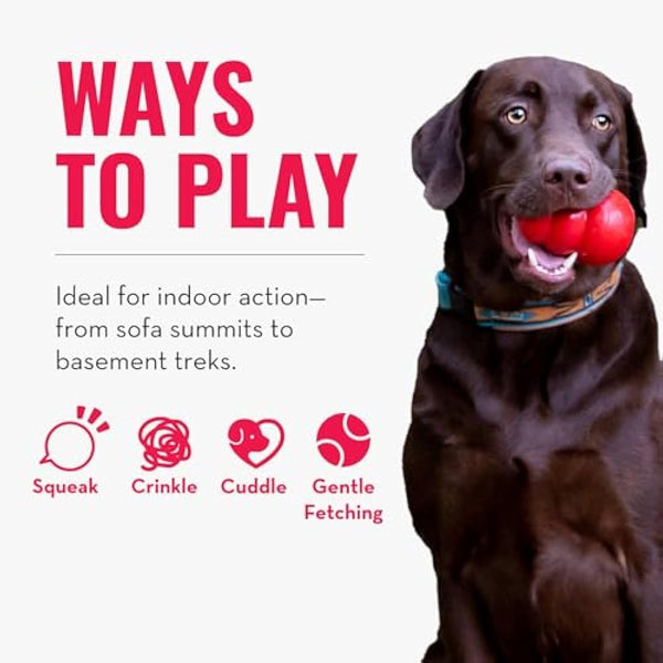 KONG Sherps Donkey Medium Dog Toy