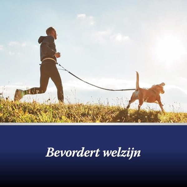 Canosept dog joint tablets - Joint Care for dogs - Unique formula: With green lipped mussel for dogs, glucosamine, omega 3 for dogs - hip and joint care for dogs - Excellent acceptance - 80 tablets