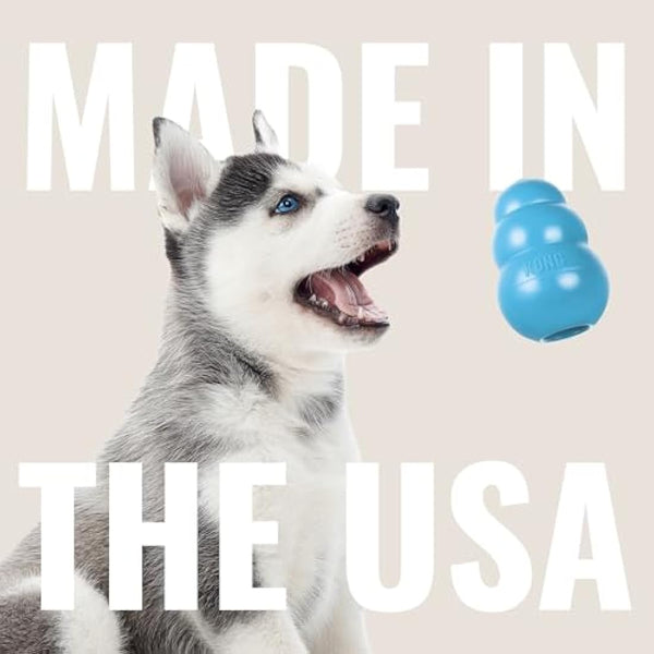 KONG - Puppy Flyer - Teething Rubber, Flying Disc Dog Toy - For Small Puppies (Assorted Colours)