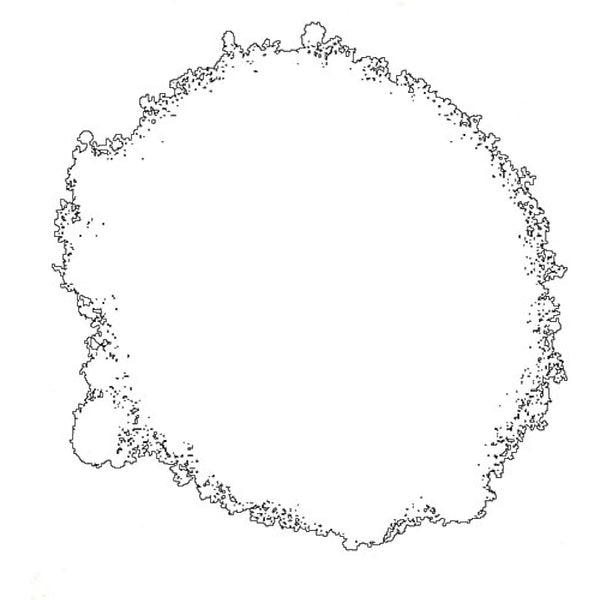 Rust-Oleum AE0030001E8 400ml Direct to Plastic Spray Paint - White