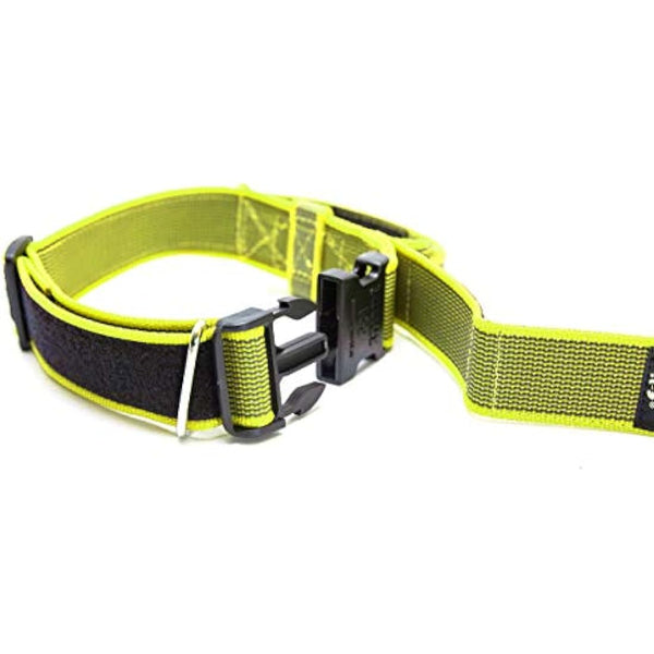 Julius-K9 Color and Gray Collar with Handle and Interchangeable Patch, 50 mm (49-70 cm), Neon-Gray