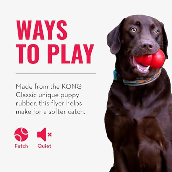 KONG - Puppy Flyer - Teething Rubber, Flying Disc Dog Toy - For Small Puppies (Assorted Colours)
