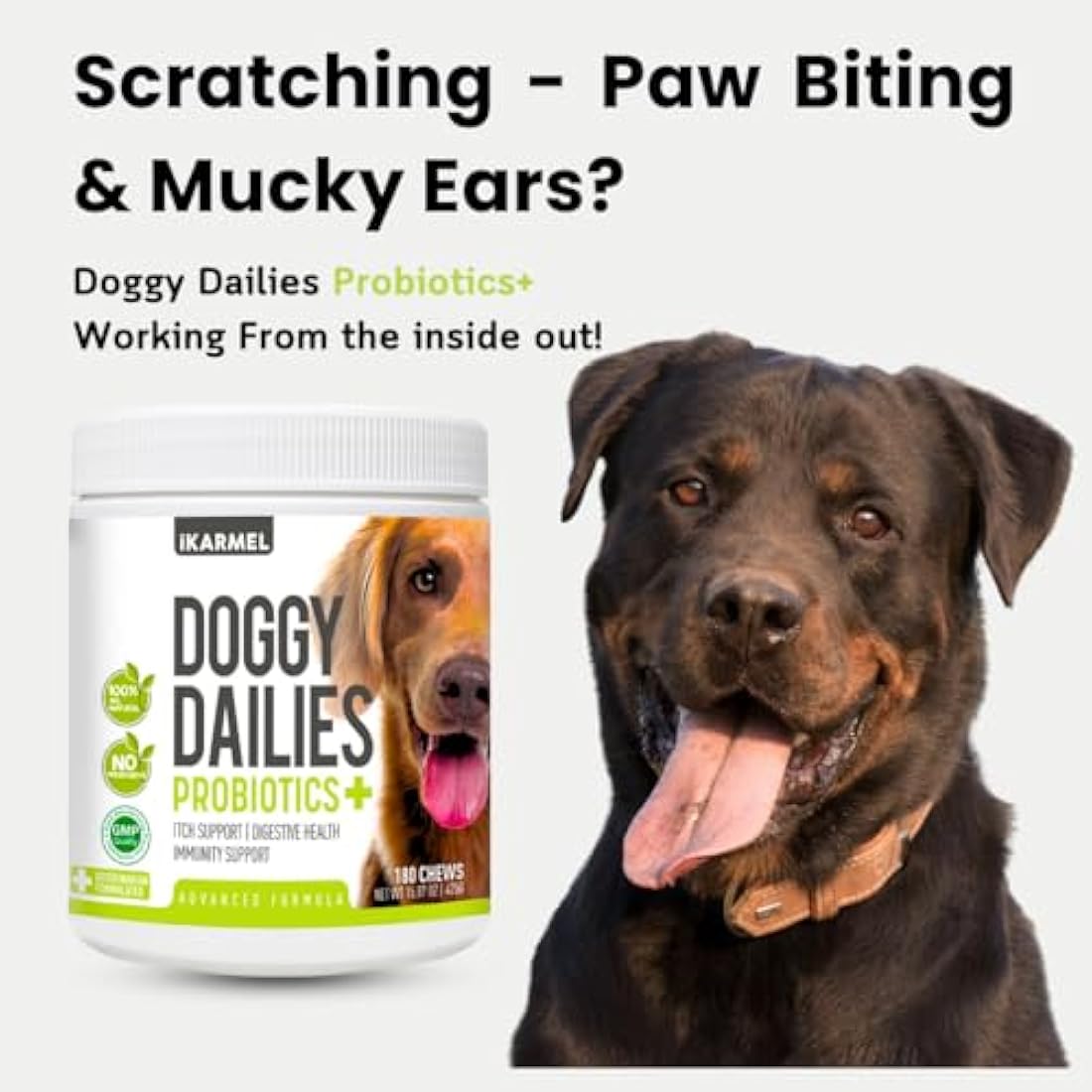 Doggy Dailies Probiotics for Dogs - Canine Supplements for Digestive and Immunity Support - Skin Health and Itch Support - Vitamin Treats - Veterinarian Formulated Probiotic