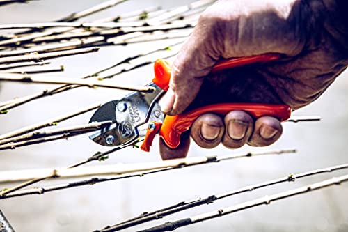 Original Lowe 5 Professional Anvil Garden Shears 5.104