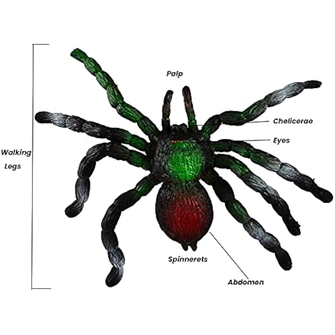 BOHS Rubber Jiggly Spider - Stretch & Squeeze - Realistic Big Soft Stretchy - Halloween Squishy Toy - Prank Bugs