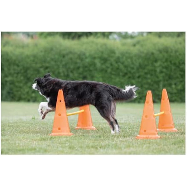 TRIXIE Pylon Obstacle Set – 6 pylons – 3 poles – variable height adjustment: 6 cm / 13.5 cm / 20 cm – orange/yellow – 32091