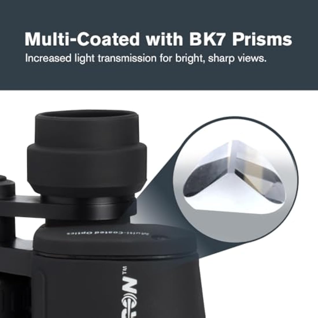 Celestron 71198 Cometron 7x50 Porro Prism Binoculars, Black