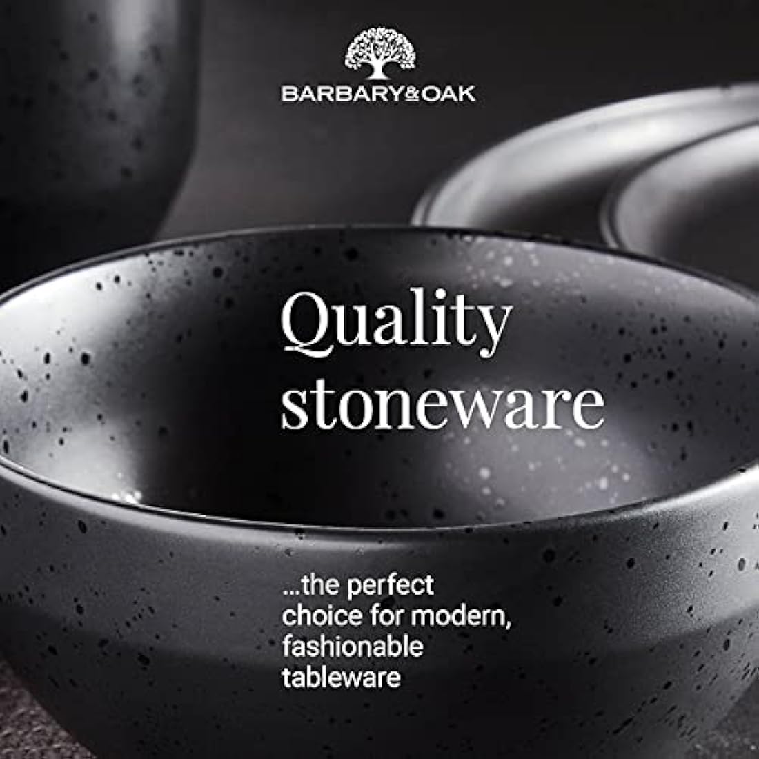 Barbary & Oak BO867005BLK Luna 16 Piece Dinnerware Set, Stoneware, Matte Black with Gloss Speckle