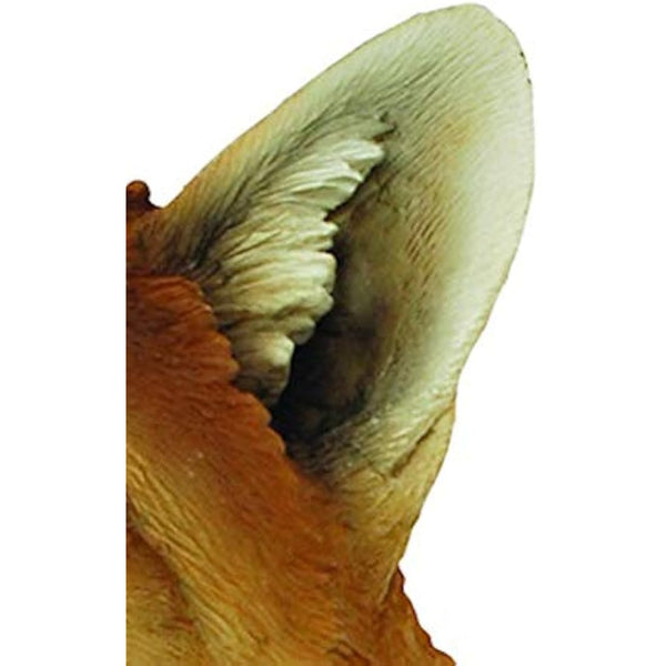 Vivid Arts XRL-SFOX-A Large Sitting Fox Resin Ornament