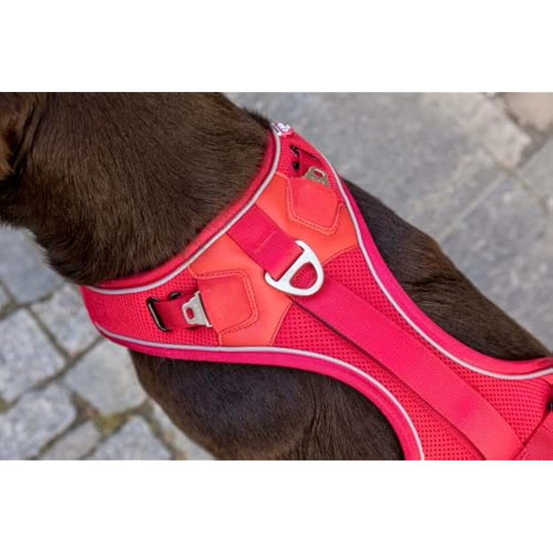 Belka Harness Black M