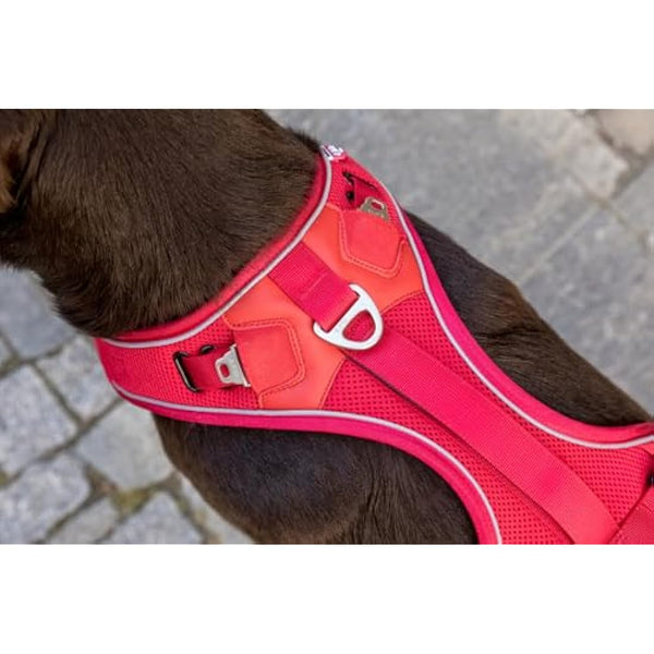 Belka Harness Black M