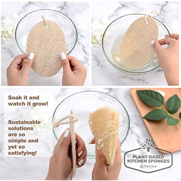 Loofah Dish Sponge - Plastic-Free Sponges - Compostable Loofah Scouring Pads - Biodegradable Body Scrubbers - Exfoliating Loofah Bath Sponge - Zero Waste & Plant-Based