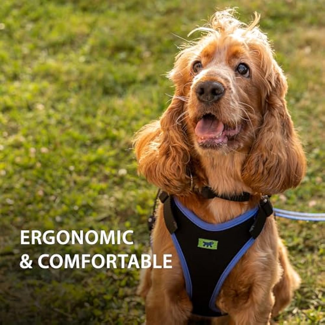 Ferplast Large Size Dog Harness ERGOCOMFORT LARGE, Adjustable Dog Harness, Comfortable, Padded, Double Micro-adjustment Closure, Quick Release, Blue