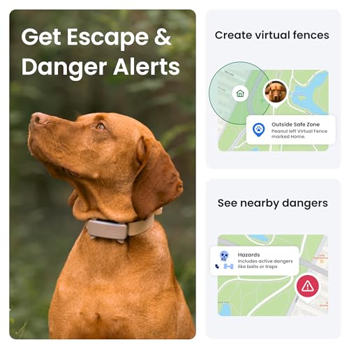 Tractive Smart Dog Tracker | 2025 Edition | Real-time GPS Tracking | Escape & Health Alerts | Vitals Monitoring | Market Leader (Black)