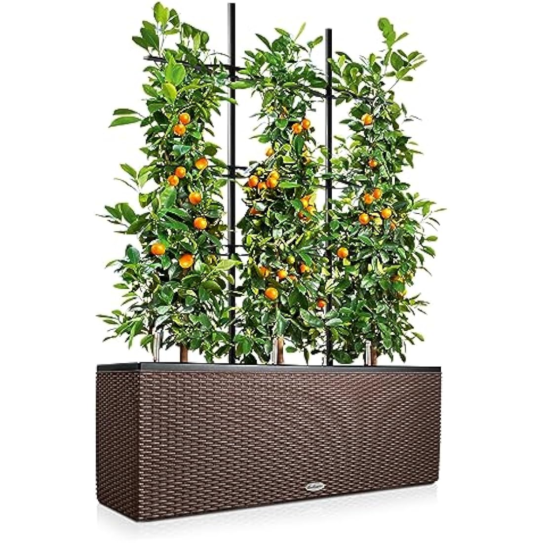 LECHUZA TRIO Cottage 30 mocha 15005