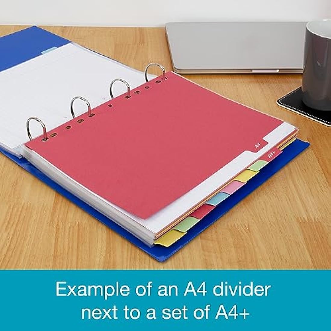 Elba A4+ (Extra Wide), 10 Part Card Dividers, Assorted, 10 Sets