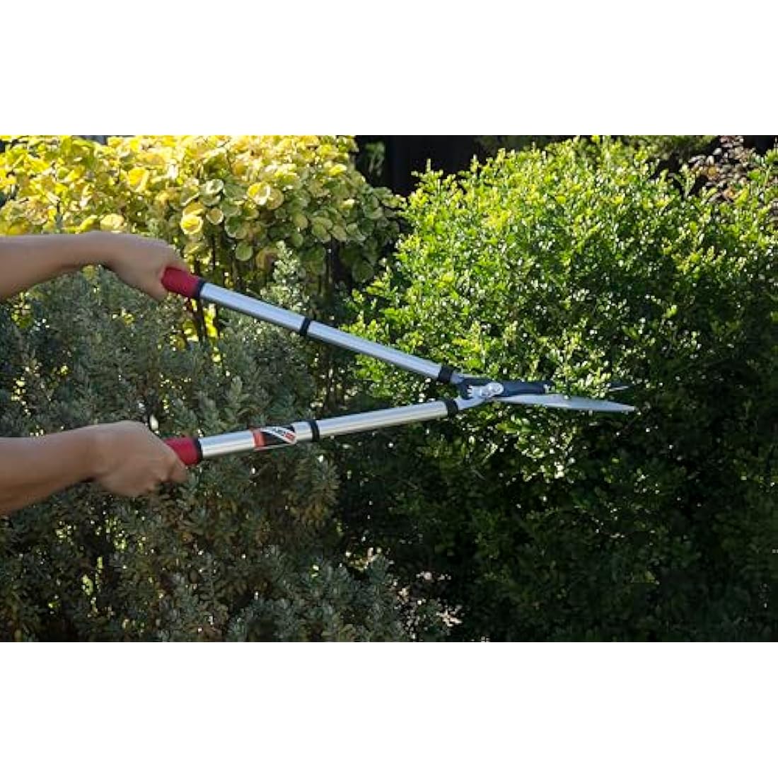 Kimura® Pro Telescopic Garden Shears - Premium Hedge Shears, Patented Gearing Technology, Lightweight Extendable Aluminium Handles, Japanese SK5 Steel Blades, Heavy Duty Gardening Shears - 630-820mm
